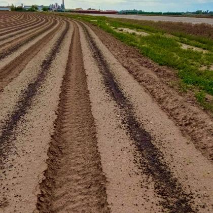 regenrative_agriculture
