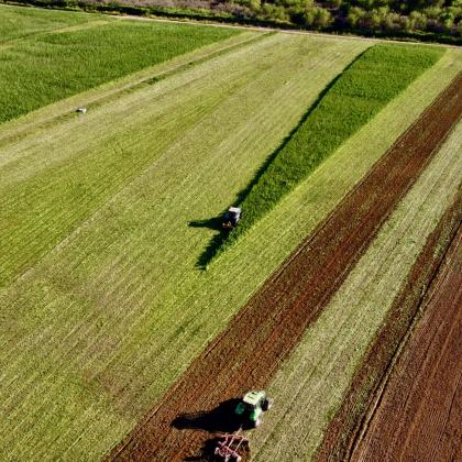 field