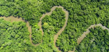 Congo Basin