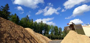 Biomass