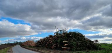 Biomass