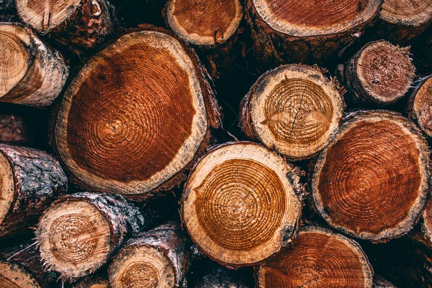 timber