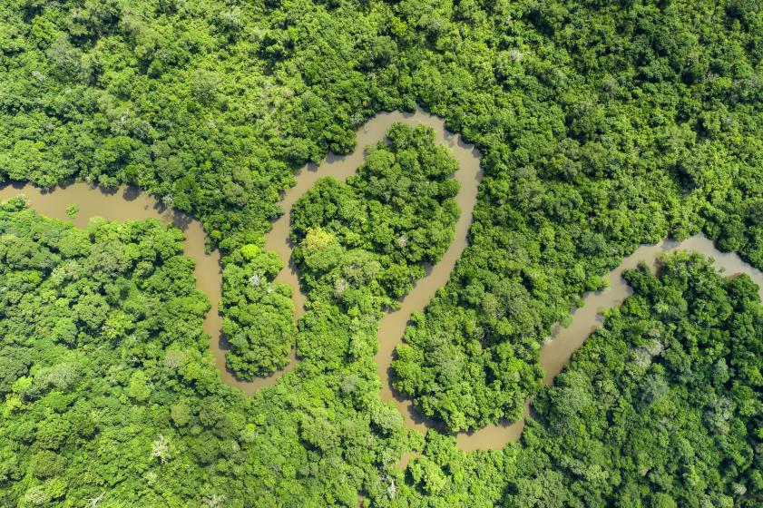Congo Basin