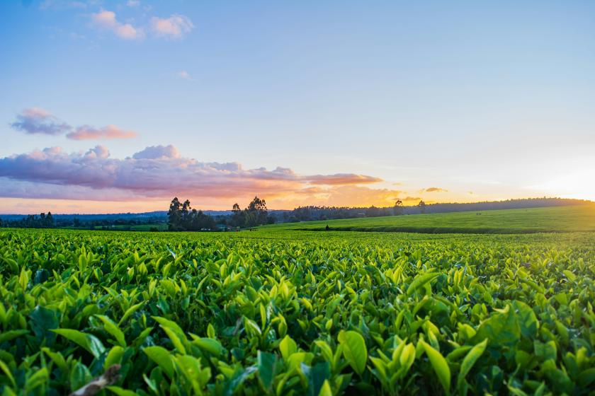 Agri