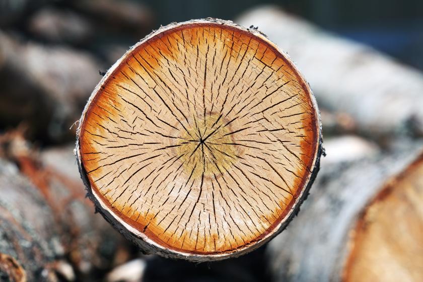 Wood