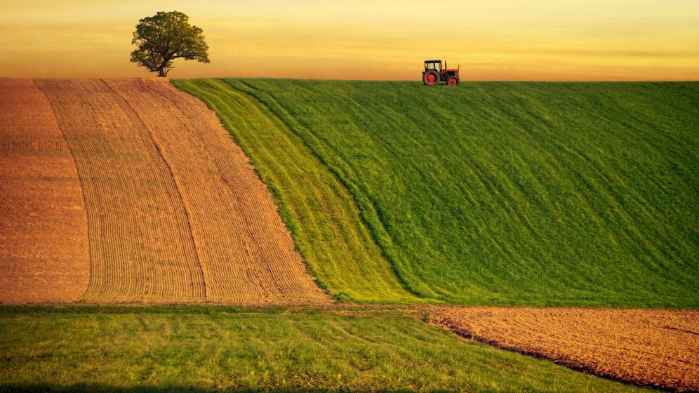 Agriculture
