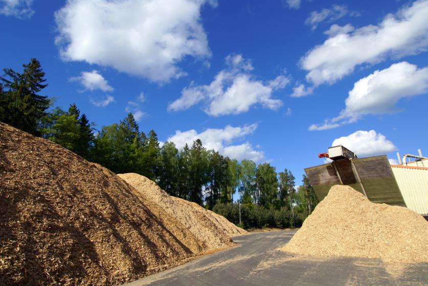 Biomass