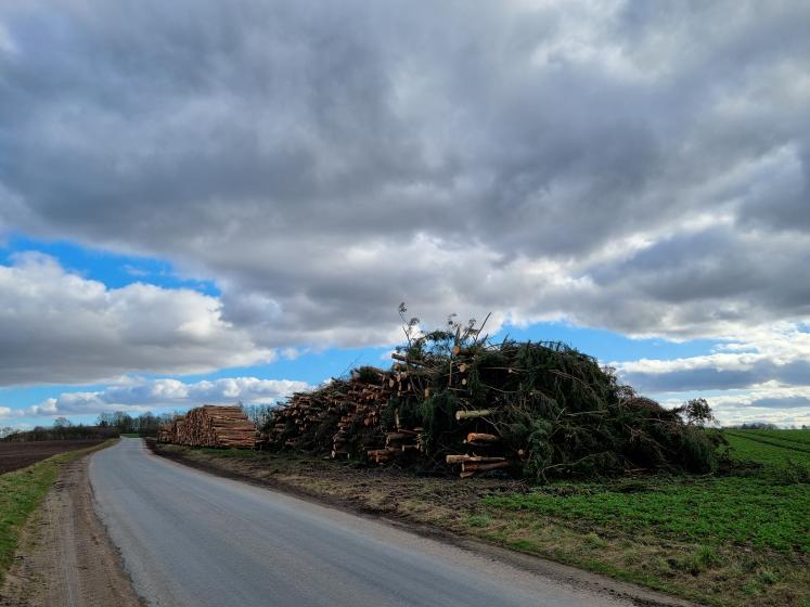 Biomass