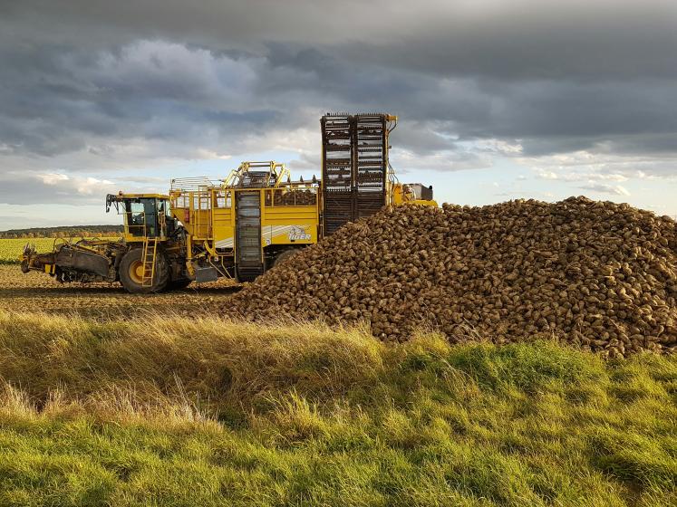 Biomass