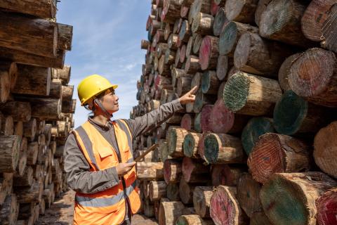 forestry