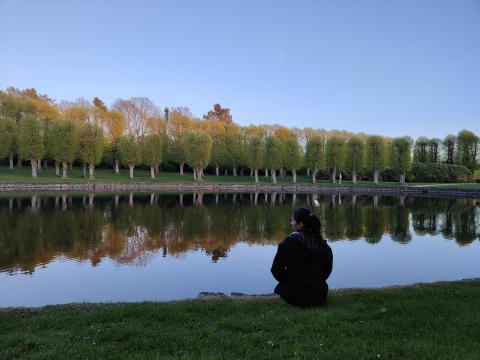 Test picture