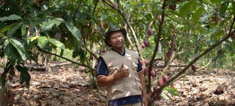 Cocoa farmer 