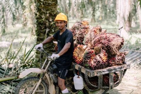 farmer in rokan hulu