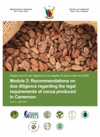 EFI_TAMI_PbN_Due Diligence cocoa CAM_2025