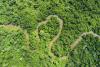 Congo Basin