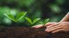 sustainability