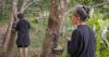 rubber tappers