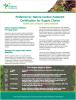CFC info sheet
