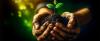 Plant in hand